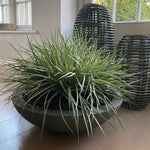 Grasses in a Large Grey Bowl RTfact Flowers 