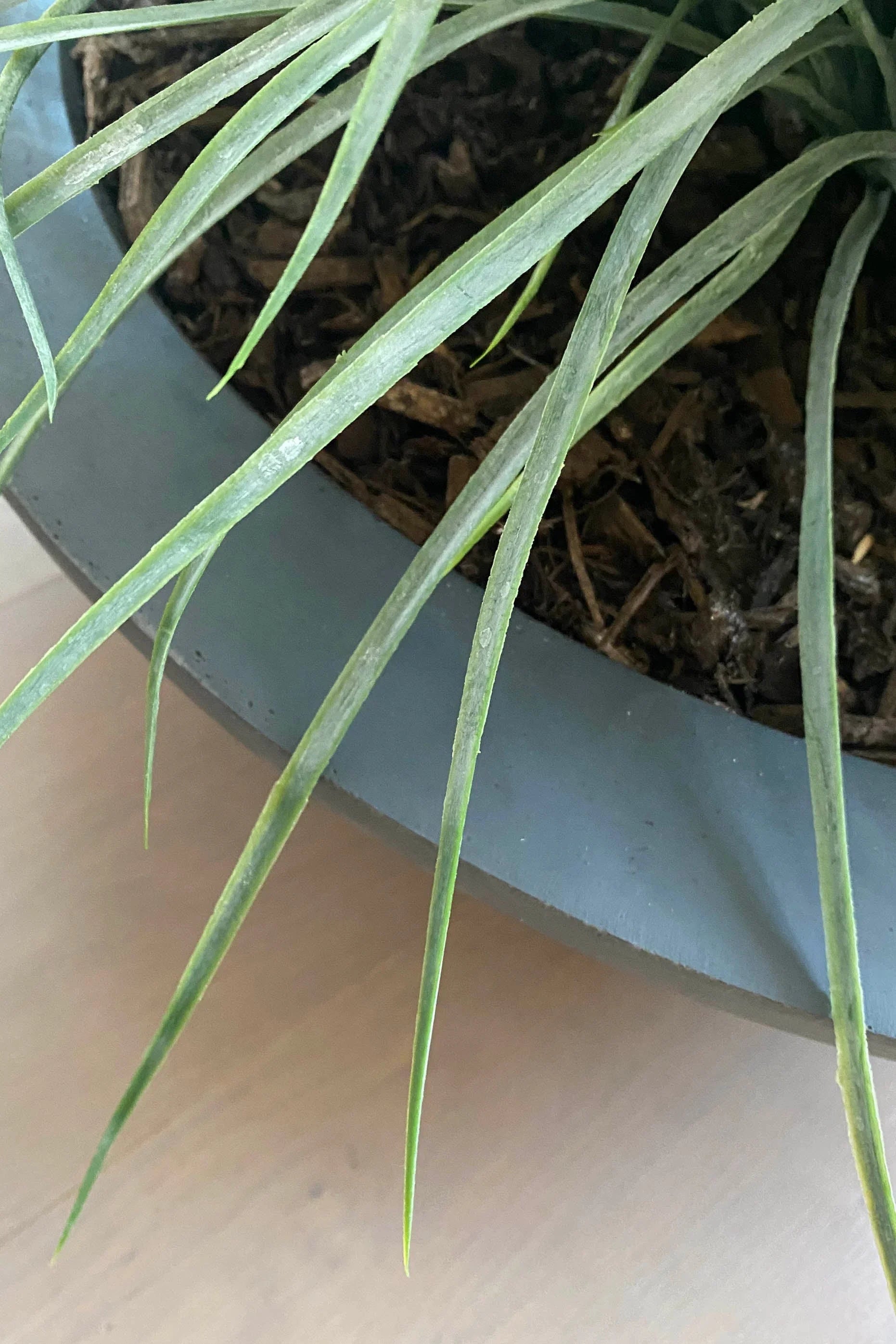Grasses in a Large Grey Bowl RTfact Flowers 