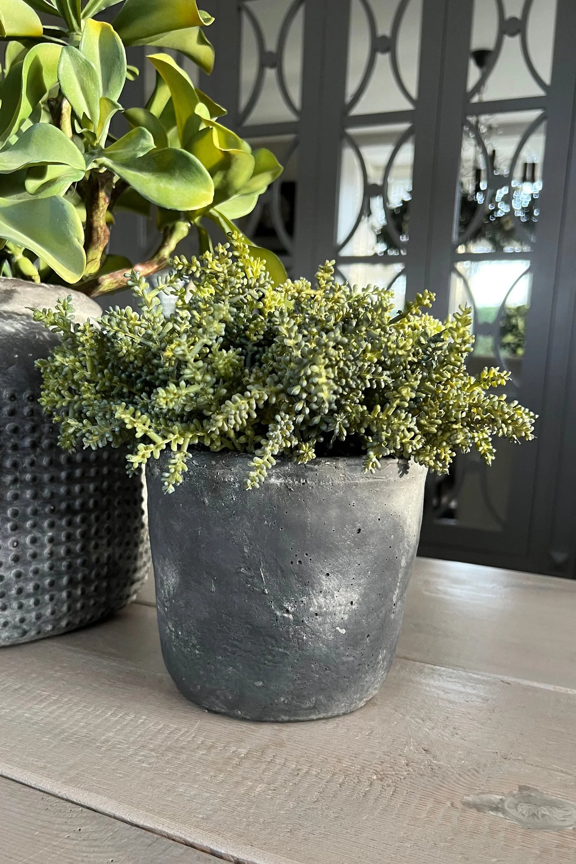 Mini Succulents in a Matt Grey Terracotta Pot RTfact Flowers 