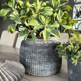 Succulents in a Matt Grey Terracotta Dotty Pot RTfact Flowers 
