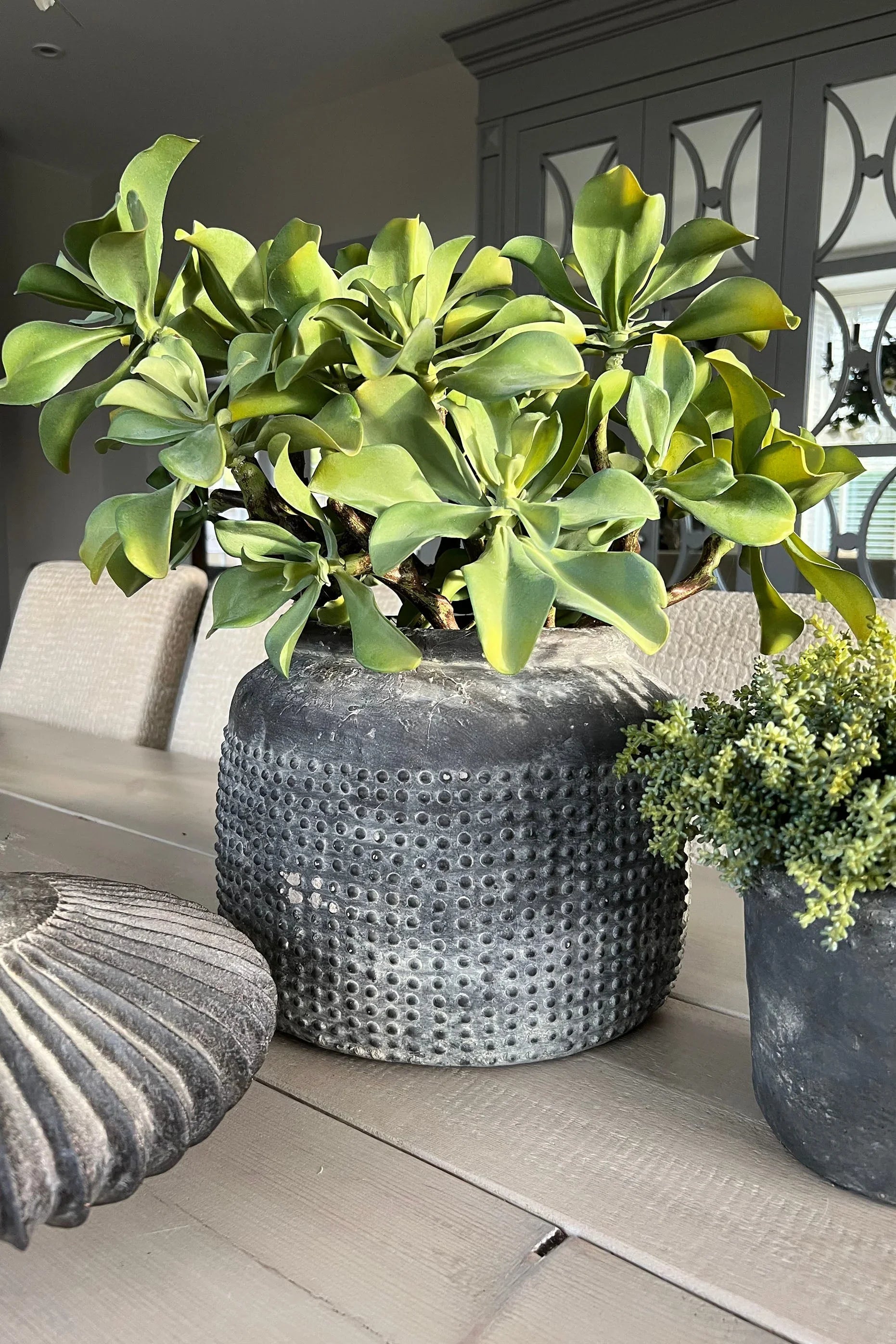 Succulents in a Matt Grey Terracotta Dotty Pot RTfact Flowers 