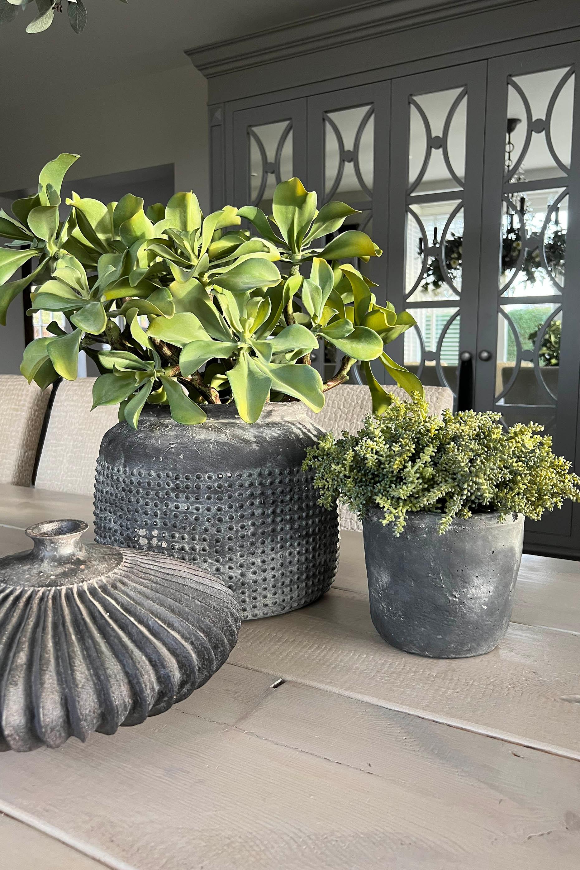 Mini Succulents in a Matt Grey Terracotta Pot RTfact Flowers 