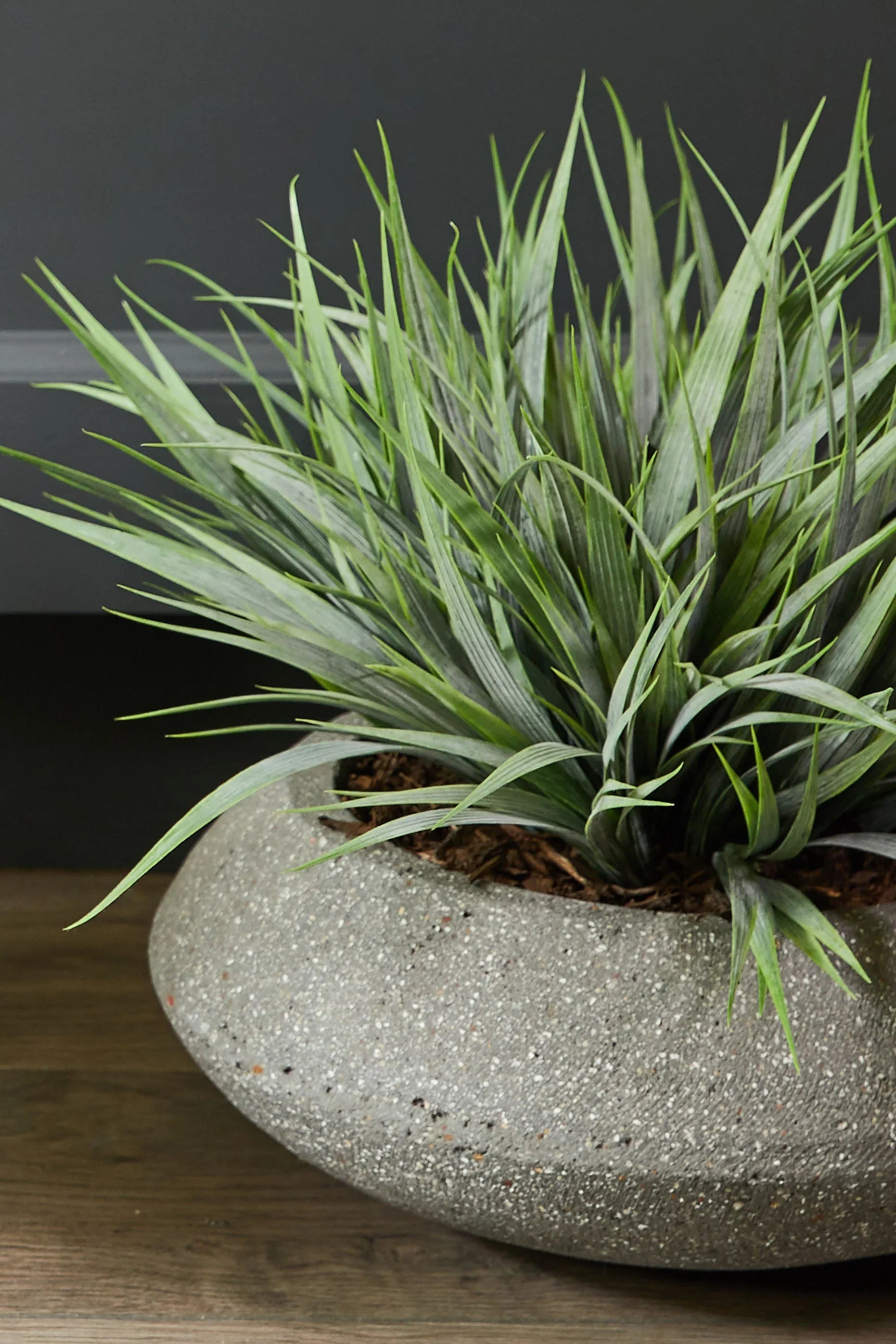 Vanilla Grass in a Grey Bowl RTfact Flowers 