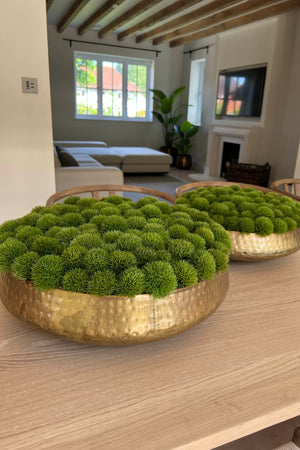 Dianthus in a Gold Dimpled Bowl (two sizes)