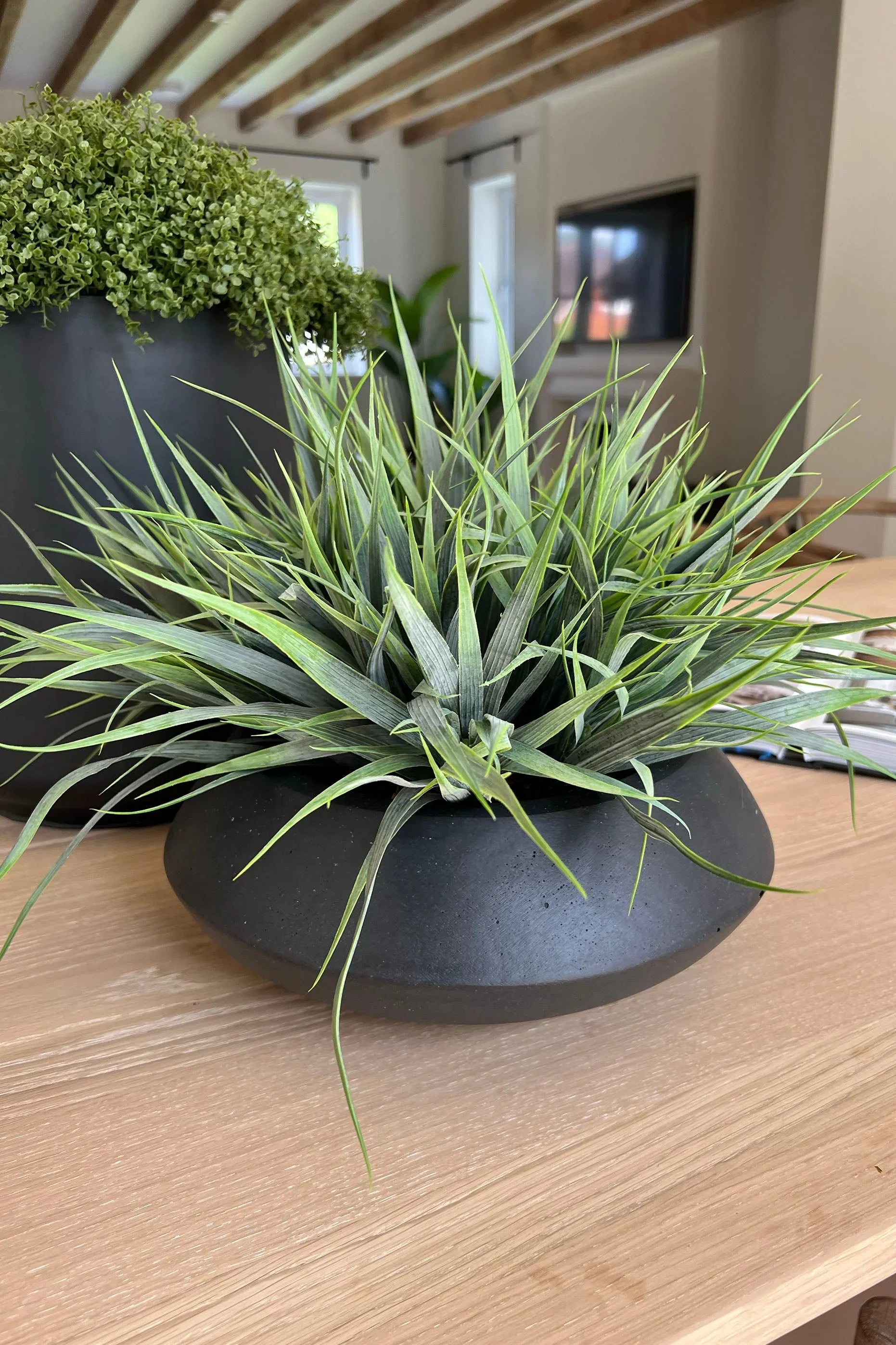 Vanilla Grass in a Matt Black Bowl RTfact Flowers 