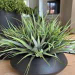 Vanilla Grass in a Matt Black Bowl RTfact Flowers 