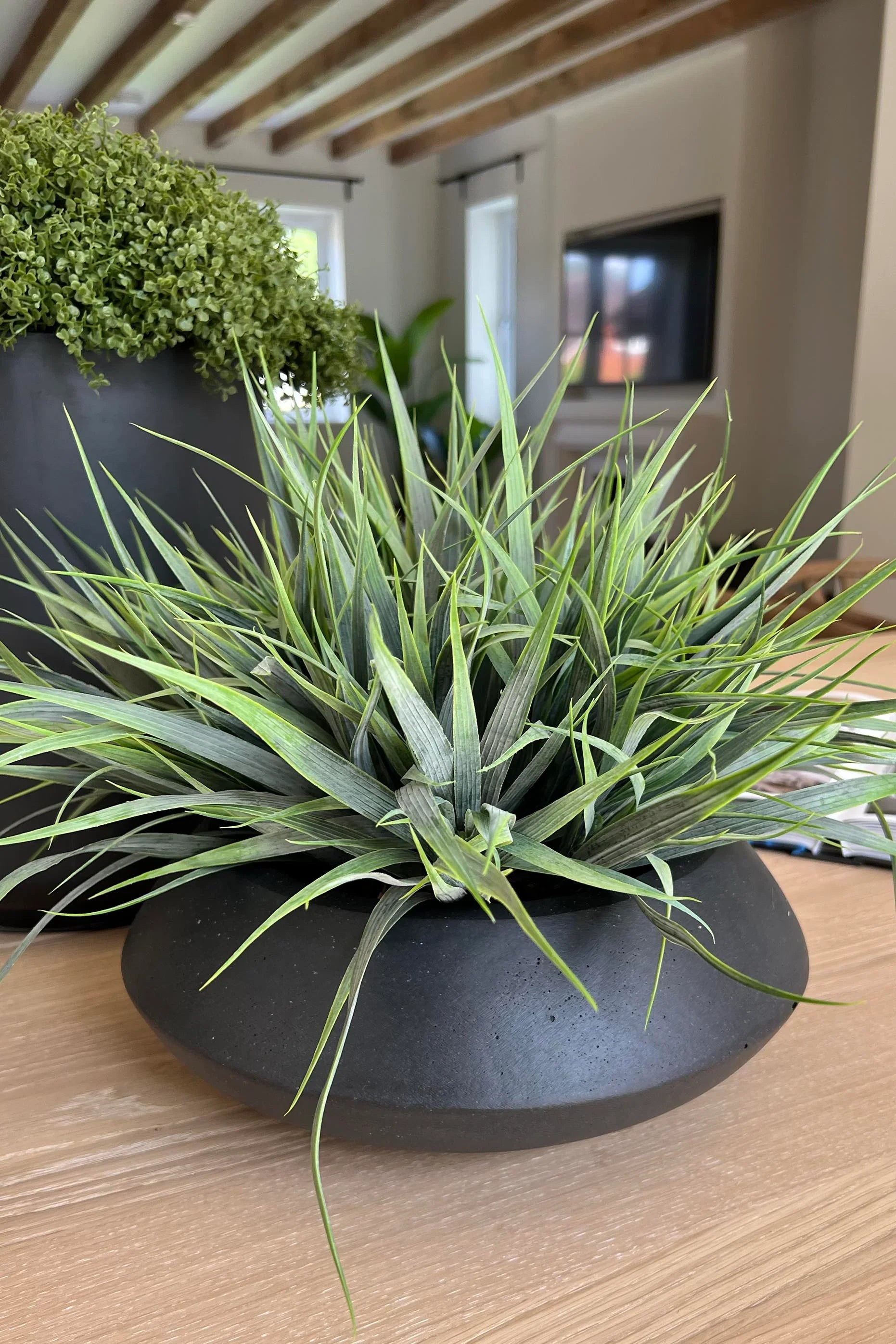 Vanilla Grass in a Matt Black Bowl RTfact Flowers 