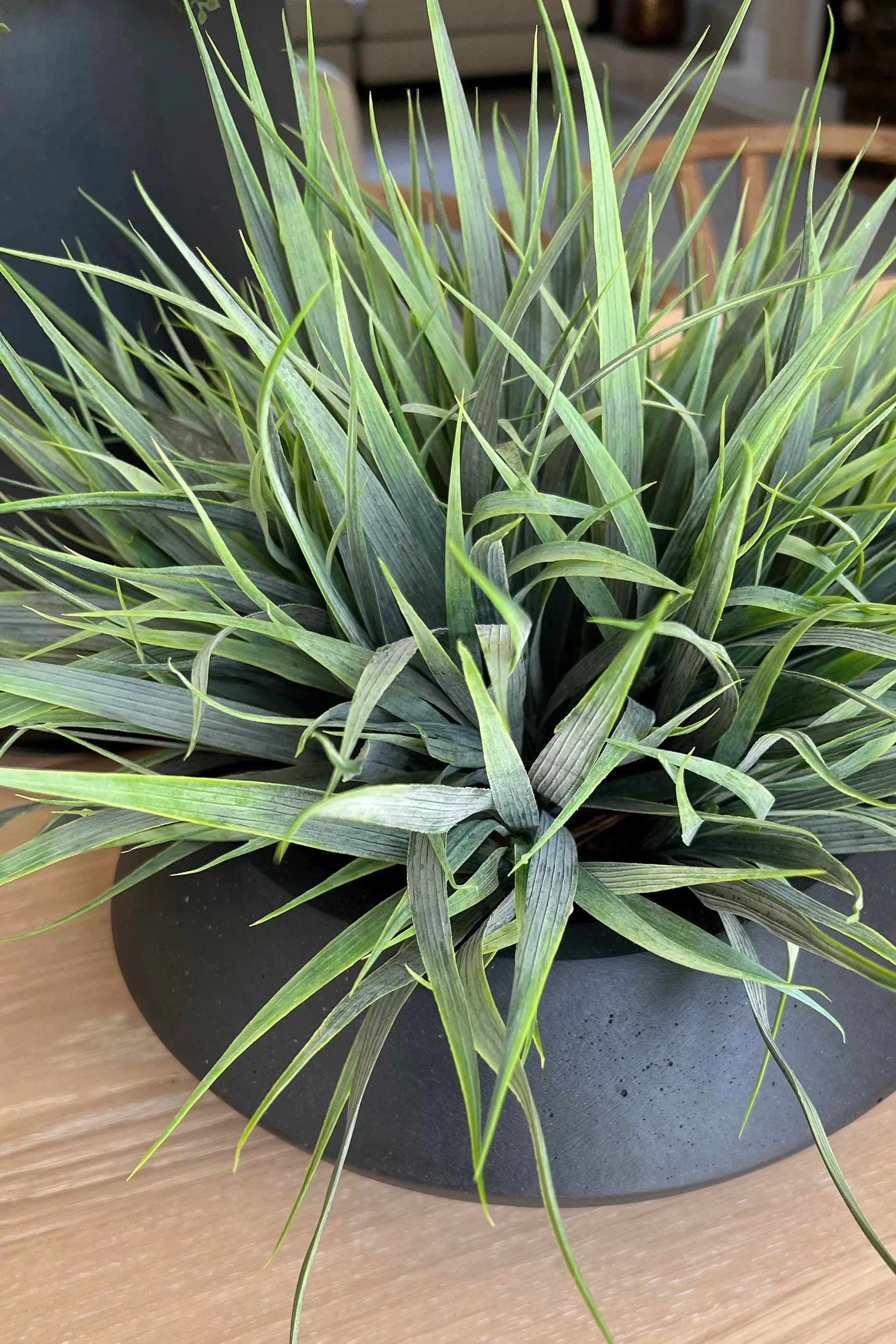 Vanilla Grass in a Matt Black Bowl RTfact Flowers 