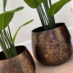 Artificial Strelitzia Plants RTfact Flowers 
