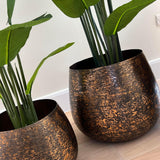 Artificial Strelitzia Plants RTfact Flowers 