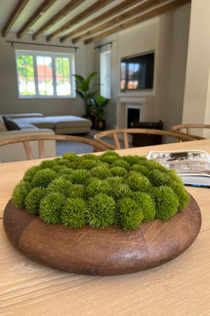 Dianthus in a Wooden Bowl.
