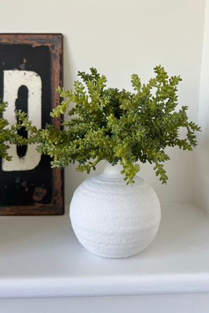 Mini Succulent in a Matt White Stone Vase