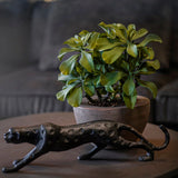 Succulents in a Sand blasted Terracotta stone Pot RTfact Flowers 