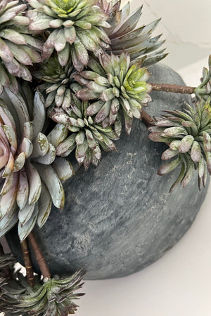 Succulents in a Grey Stone Bowl