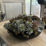 Succulents and Angelica in a Black Metal Bowl RTfact Flowers 