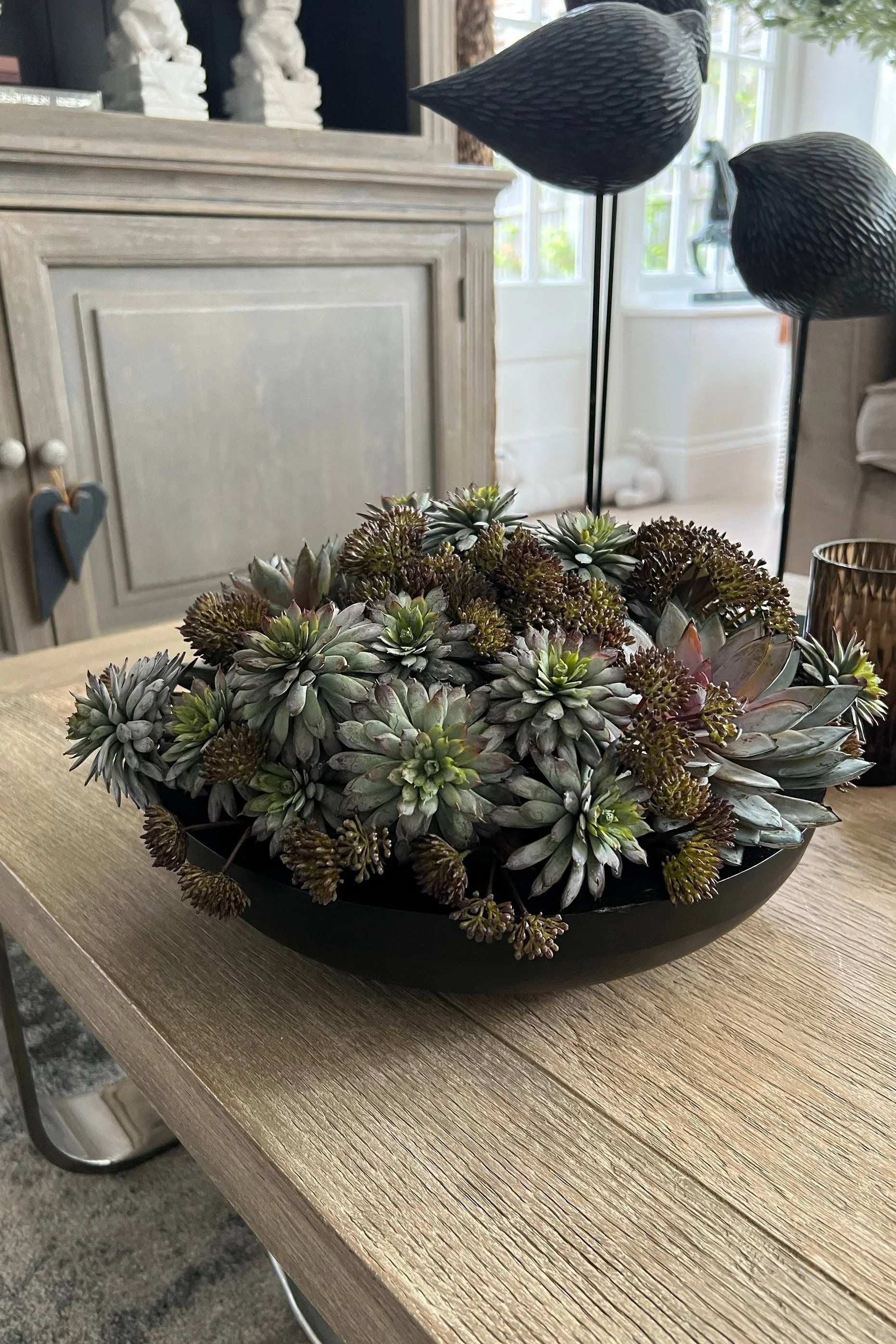 Succulents and Angelica in a Black Metal Bowl RTfact Flowers 