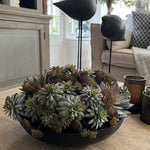 Succulents and Angelica in a Black Metal Bowl RTfact Flowers 