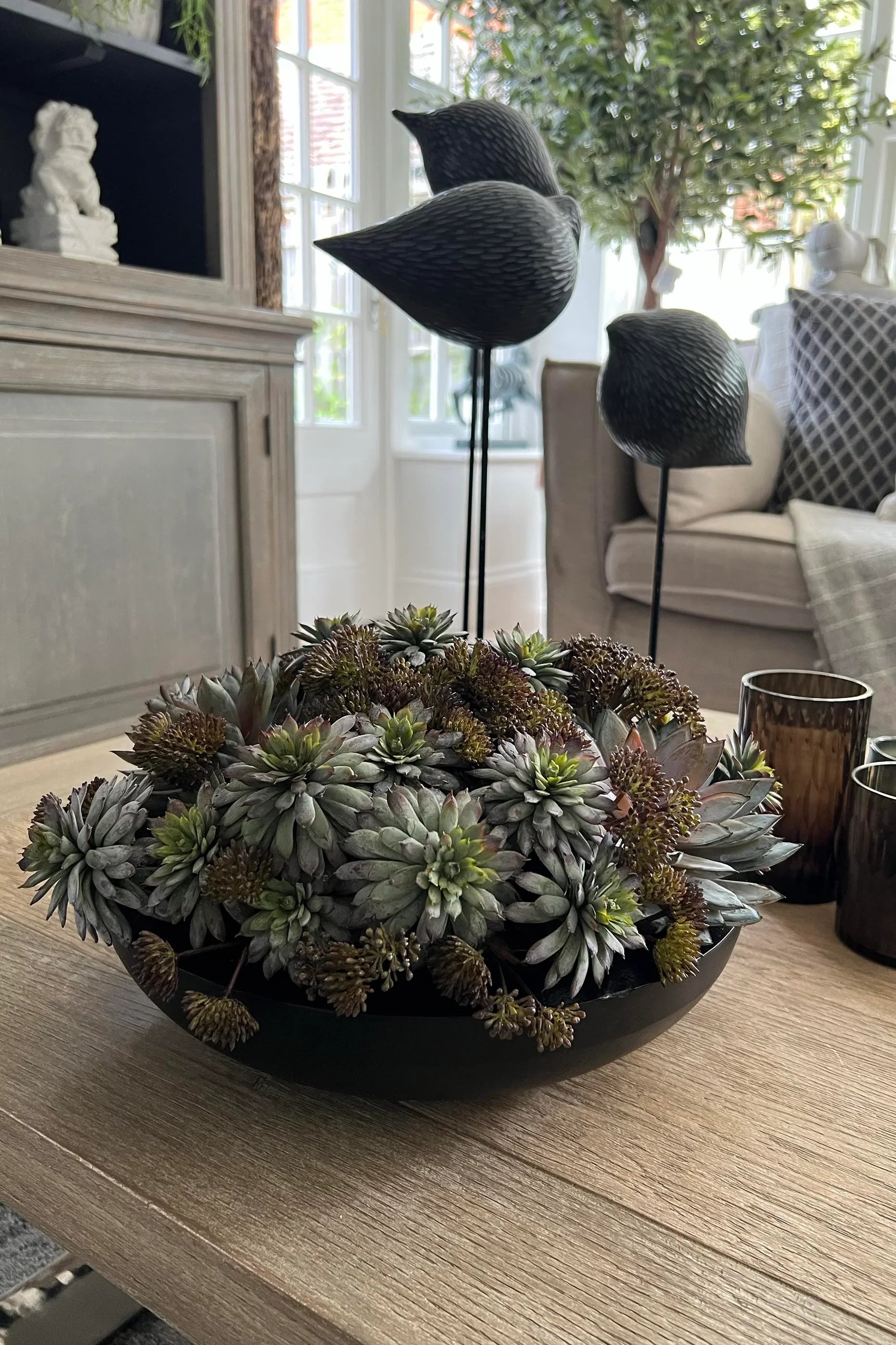 Succulents and Angelica in a Black Metal Bowl RTfact Flowers 