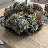 Succulents and Angelica in a Black Metal Bowl RTfact Flowers 
