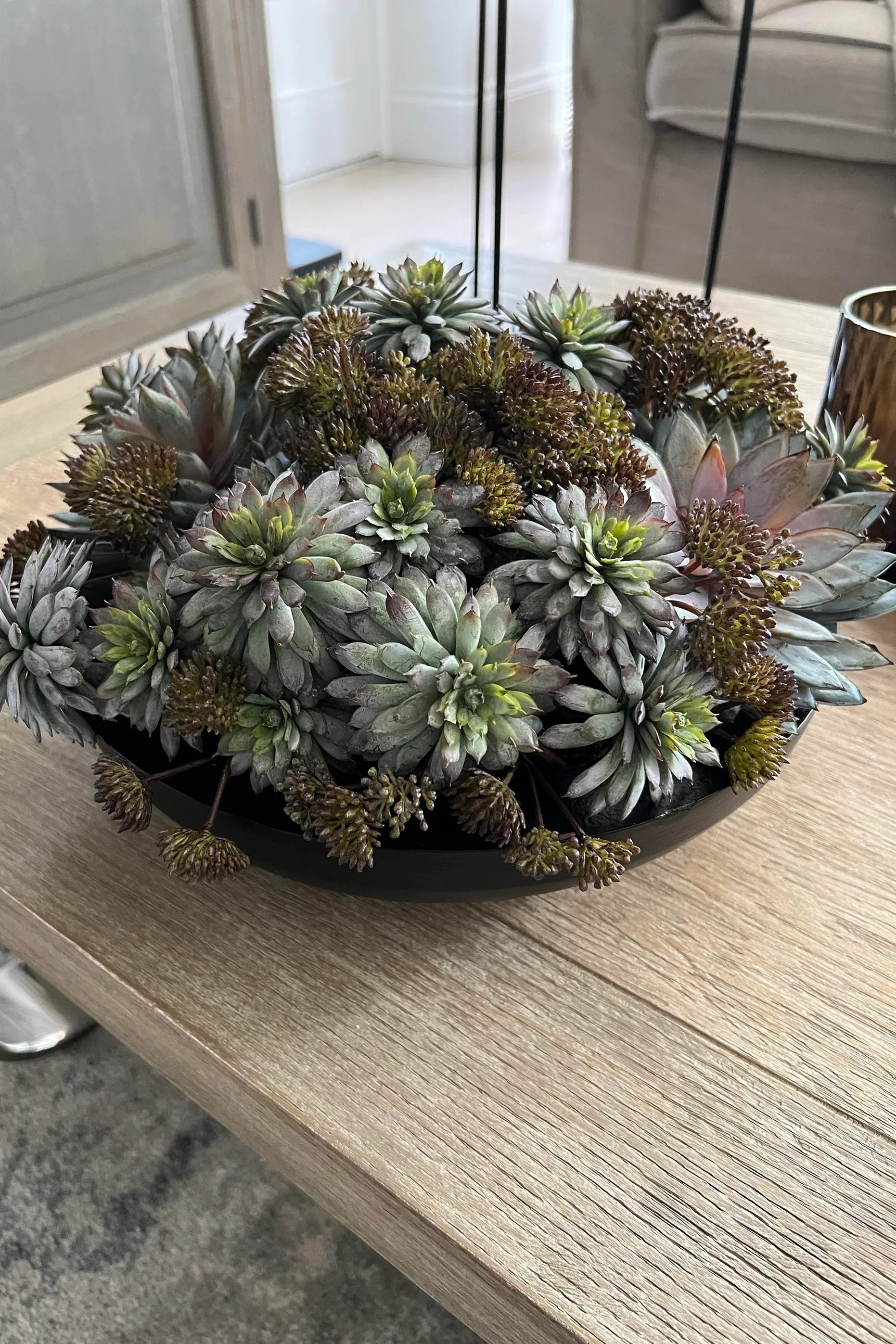 Succulents and Angelica in a Black Metal Bowl RTfact Flowers 