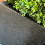 Artificial Box Ball in a Black Cube RTfact Flowers 