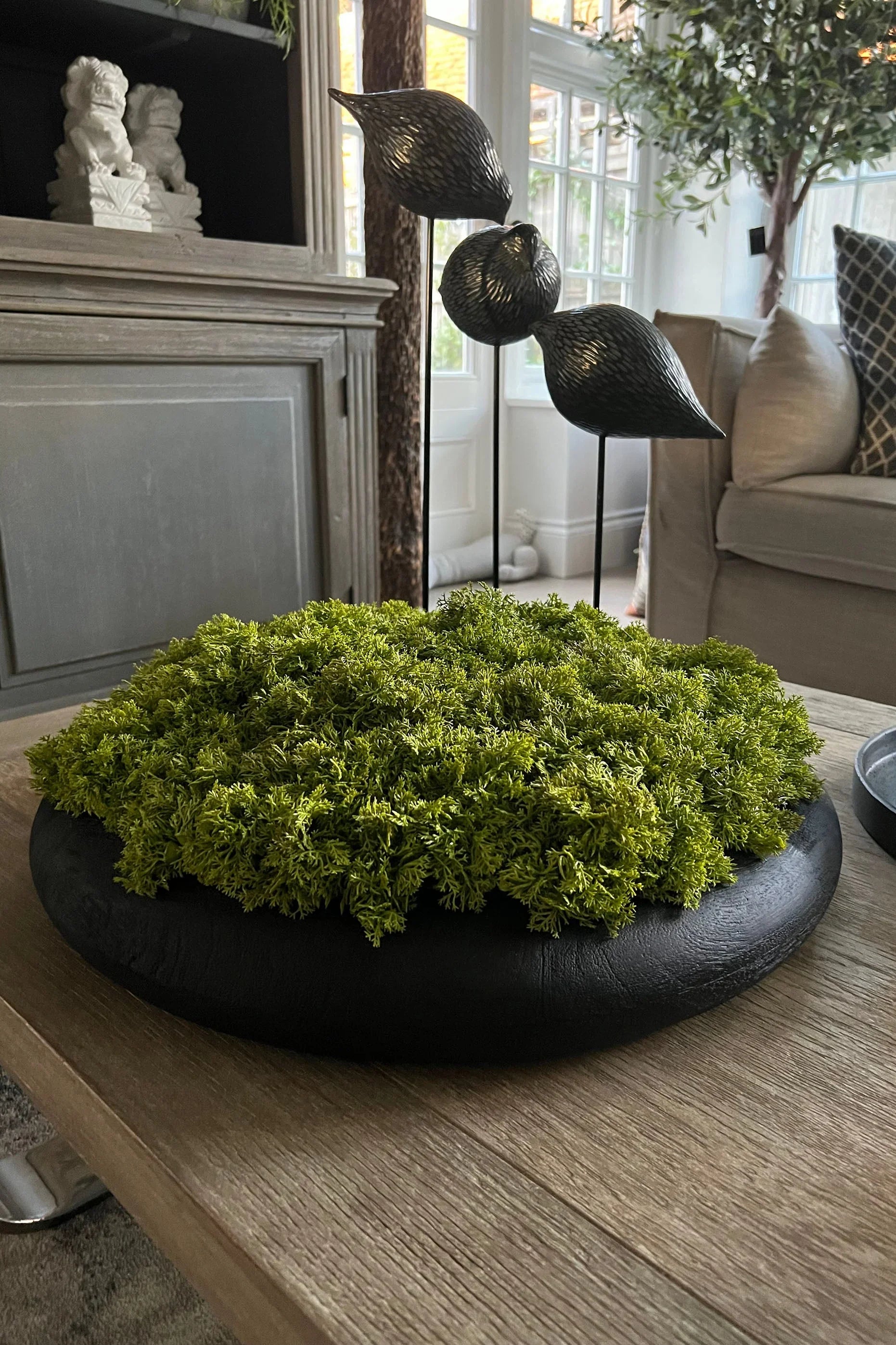 Curly Moss in a Black Wooden Bowl RTfact Flowers 
