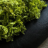 Curly Moss in a Black Wooden Bowl RTfact Flowers 