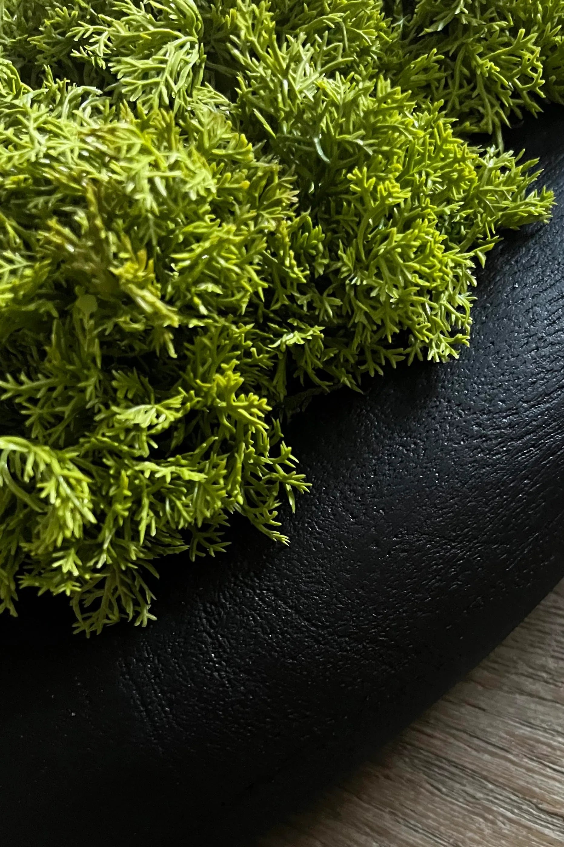 Curly Moss in a Black Wooden Bowl RTfact Flowers 