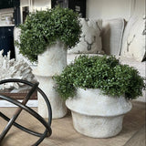 Mind Your Own Business in a Glazed Stone Pot (Set of 2) RTfact Flowers 