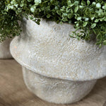 Mind Your Own Business in a Glazed Stone Pot (Set of 2) RTfact Flowers 
