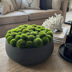 Dianthus in a Grey Stone Bowl RTfact Flowers 