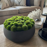 Dianthus in a Grey Stone Bowl RTfact Flowers 