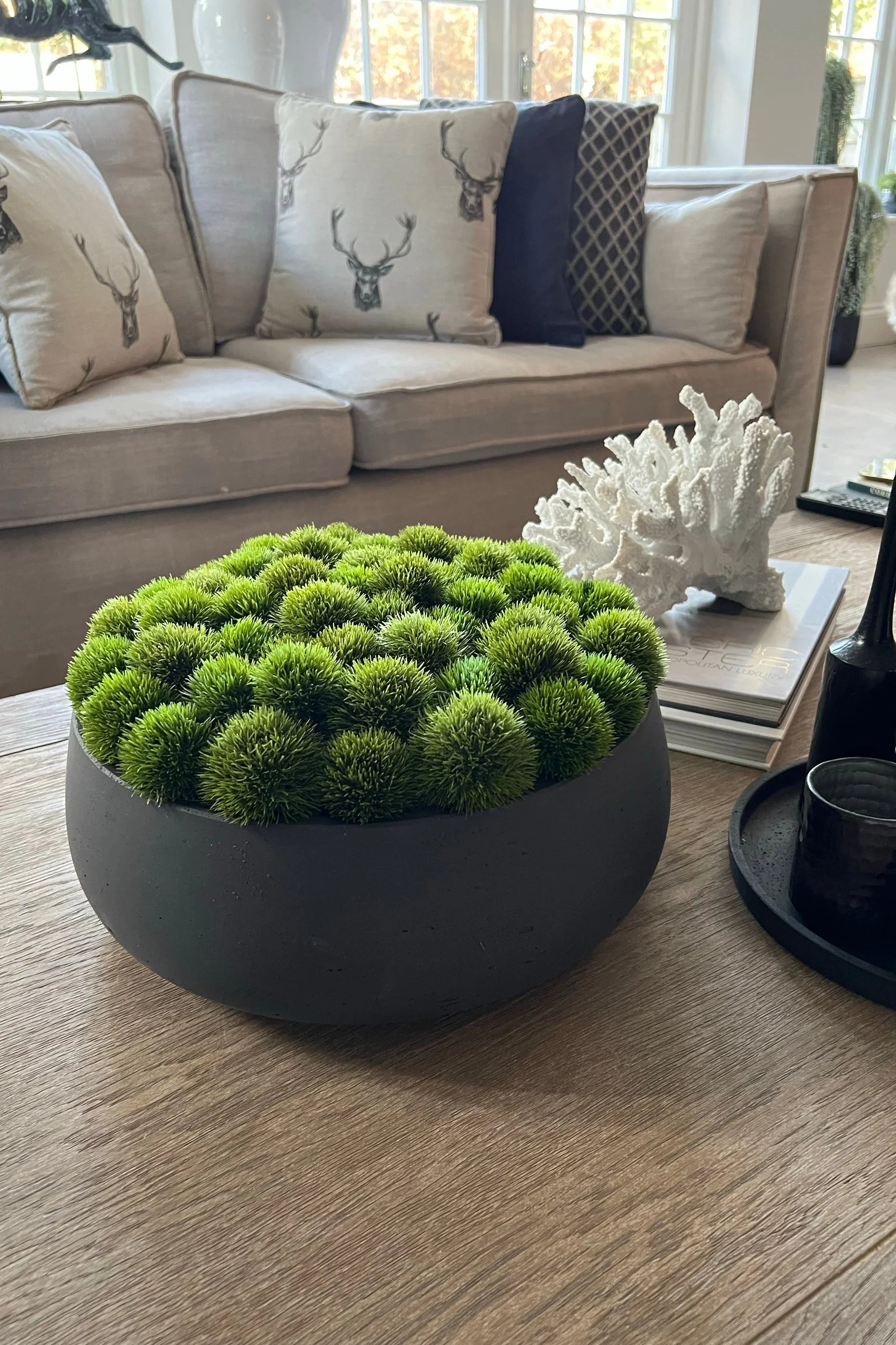 Dianthus in a Grey Stone Bowl RTfact Flowers 