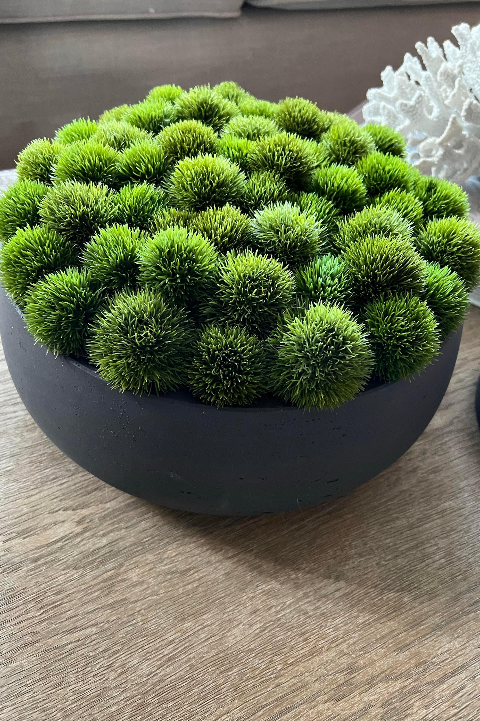 Dianthus in a Grey Stone Bowl RTfact Flowers 