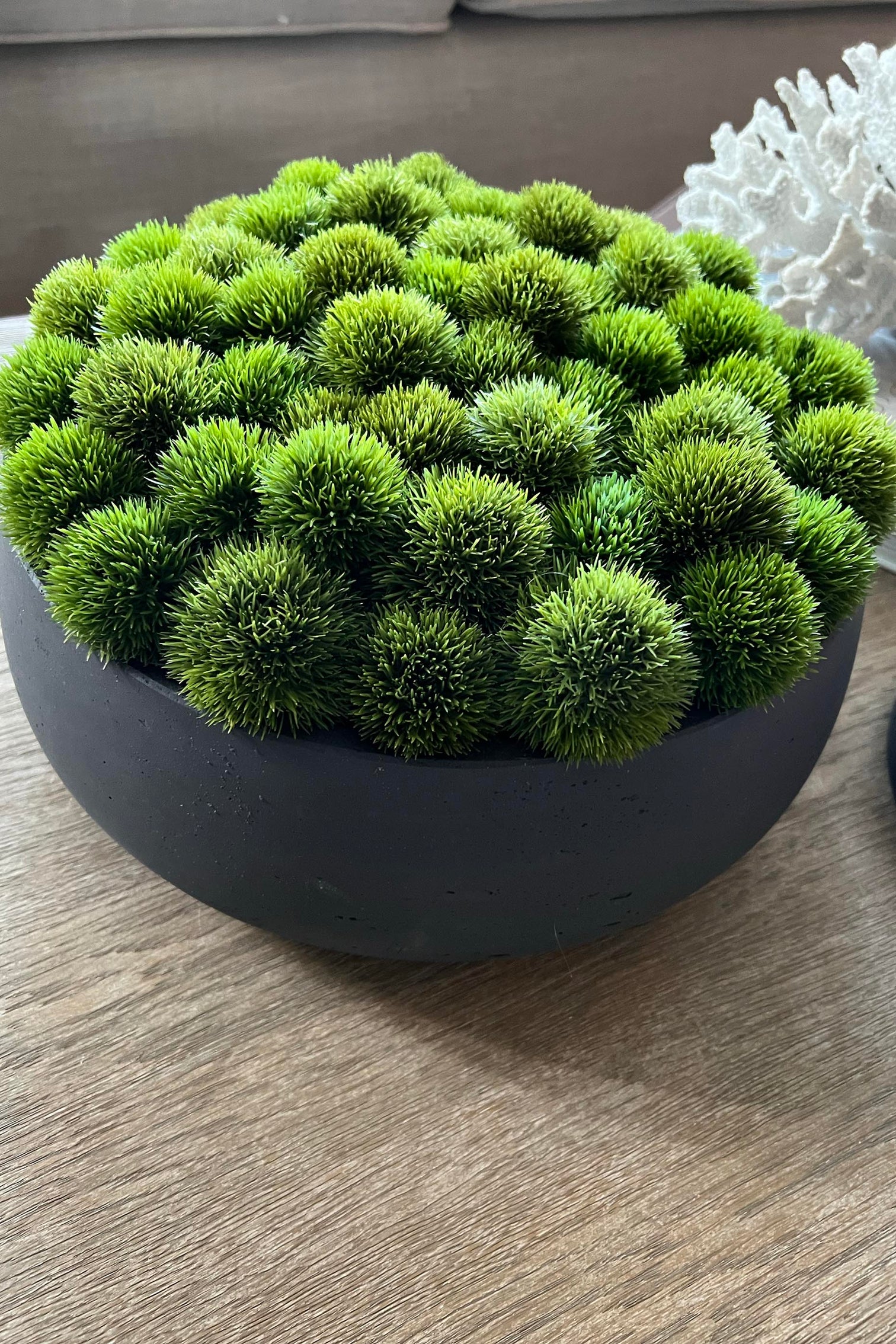 Dianthus in a Grey Stone Bowl RTfact Flowers