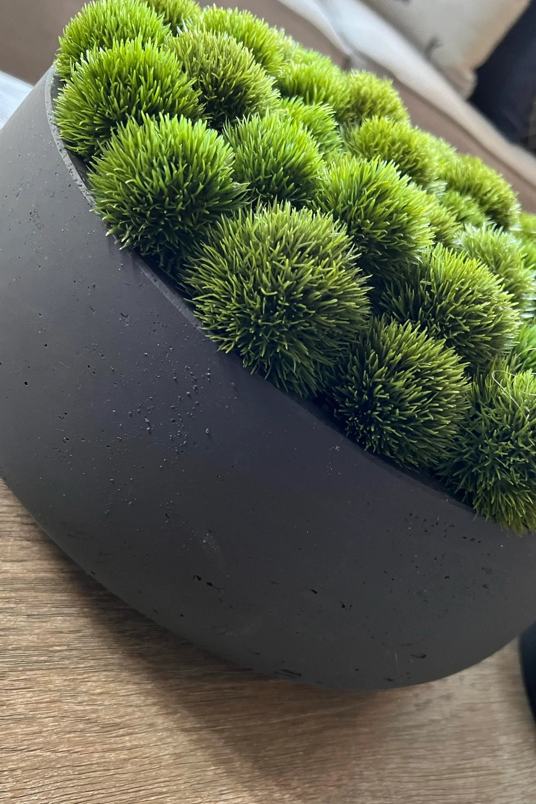 Dianthus in a Grey Stone Bowl RTfact Flowers 