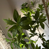Artificial Bucida Tree - Small RTfact Flowers 