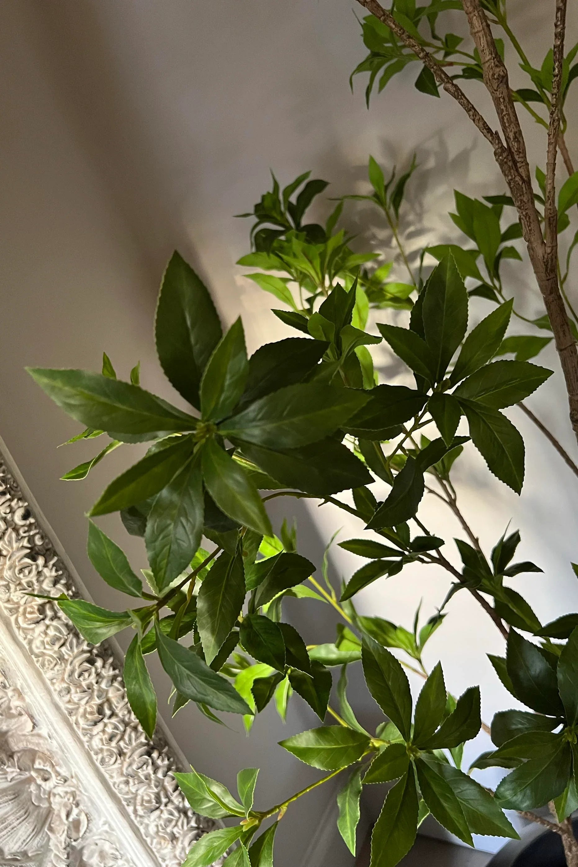 Artificial Bucida Tree - Small RTfact Flowers 