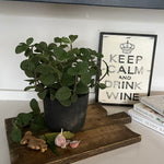 Mint in a Grey Stone Pot RTfact Flowers 