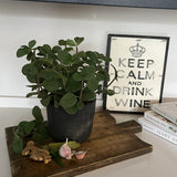 Mint in a Grey Stone Pot RTfact Flowers 