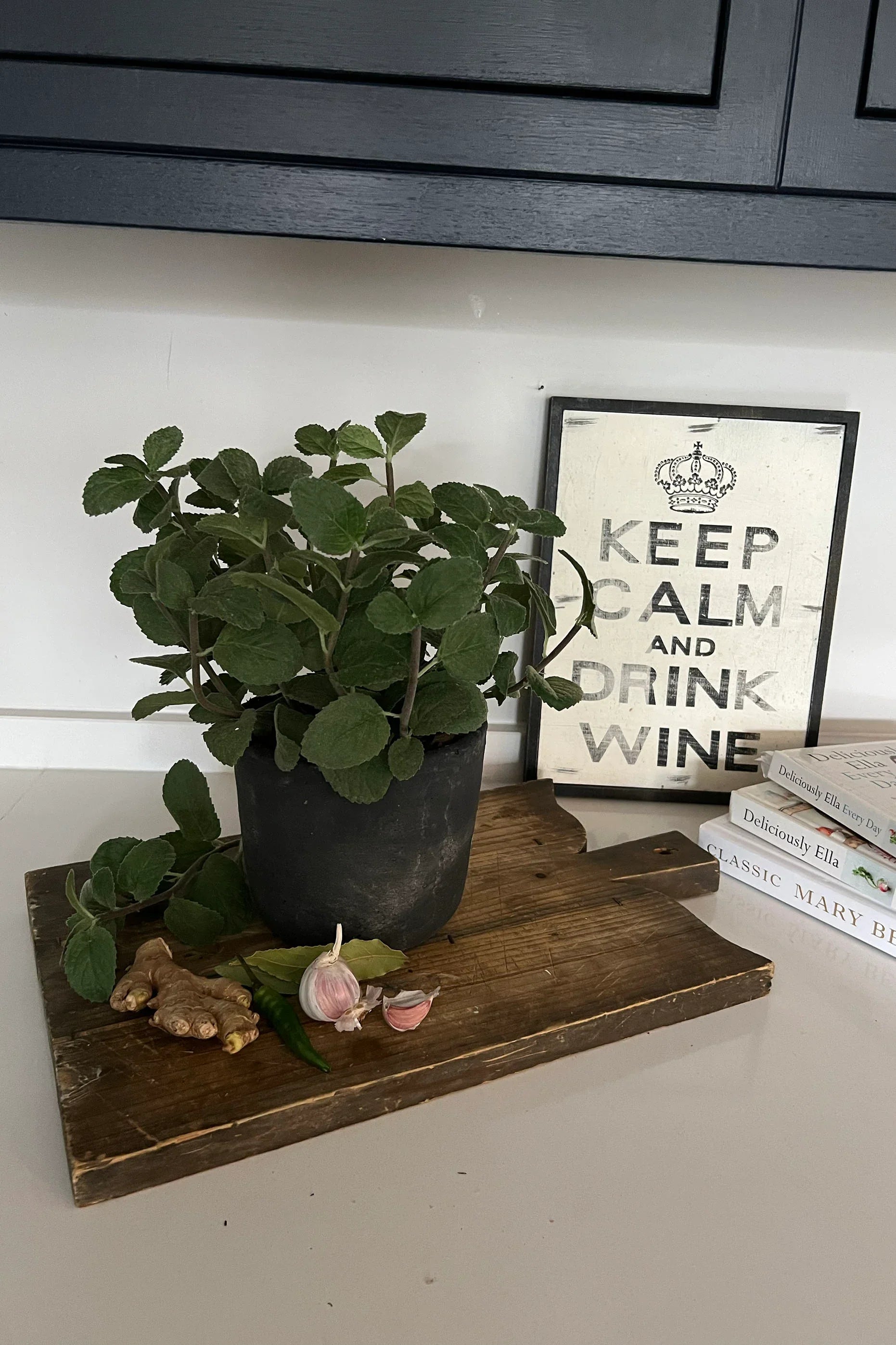 Mint in a Grey Stone Pot RTfact Flowers 