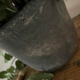 Mint in a Grey Stone Pot RTfact Flowers 