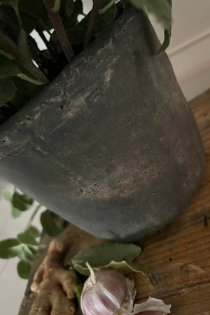 Mint in a Grey Stone Pot