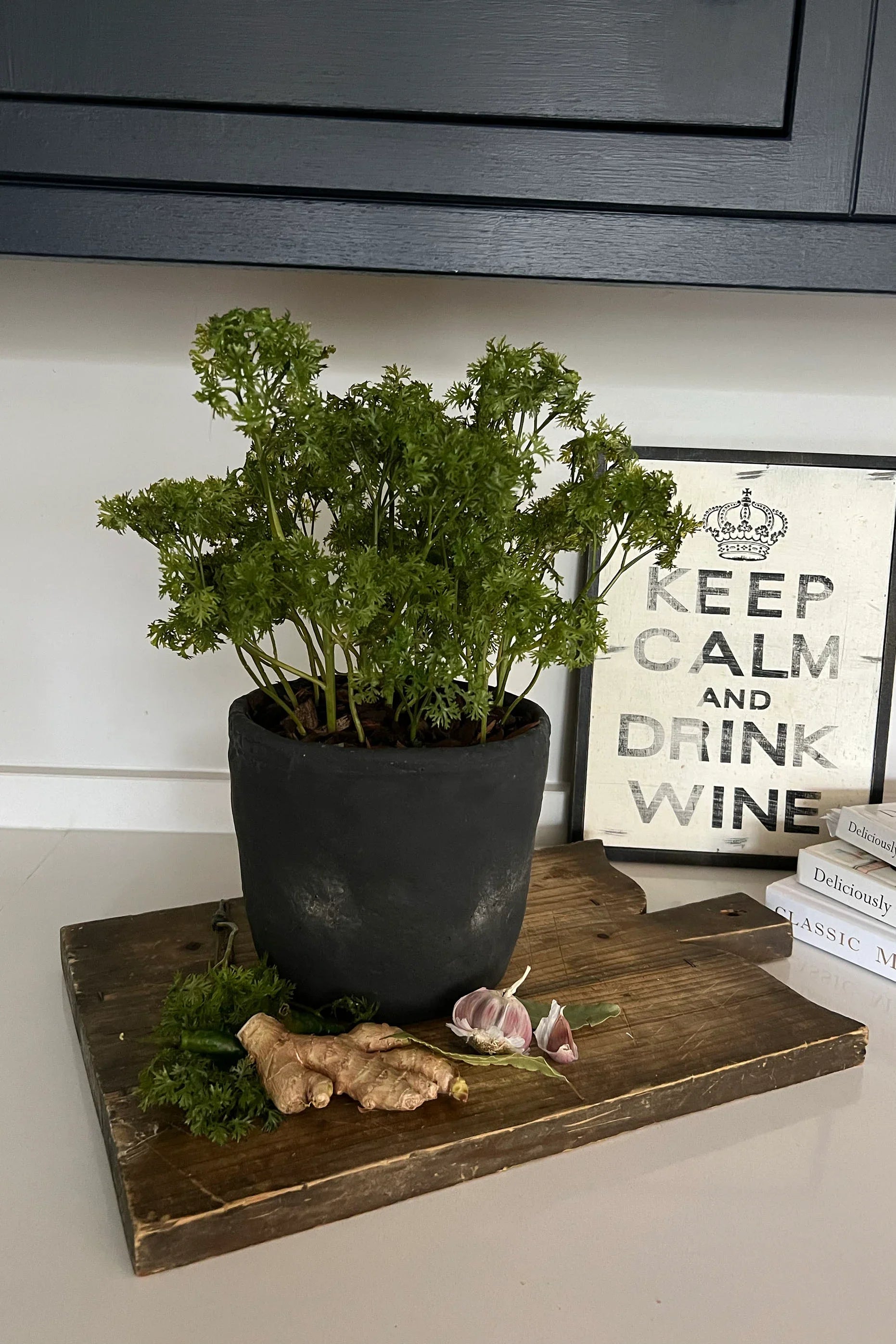 Parsley in a Grey Stone Pot RTfact Flowers 