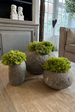 Curly Moss in a Natural Stone Vase