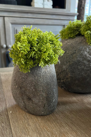 Curly Moss in a Natural Stone vases