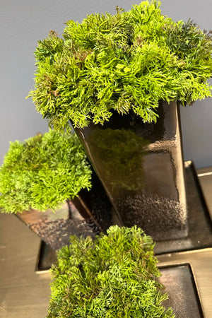 Curly Moss in a Handpainted Bronze Glass Vase