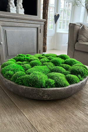 Moss in a Stone Textured Bowl