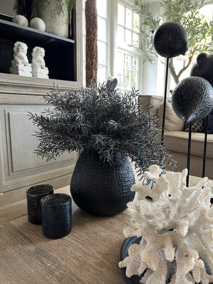 Springeri in a Black textured Vase