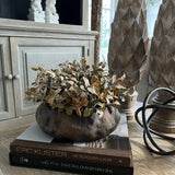 Lappa Bush in a Organic Shaped Rust/Brown Bowl RTfact Flowers 